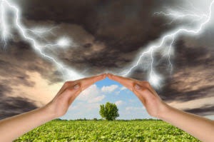 Calm in the Eye of a Storm