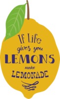 When Life Gives you Lemons you Make Lemonade