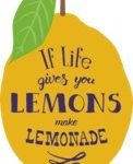When Life Gives you Lemons you Make Lemonade